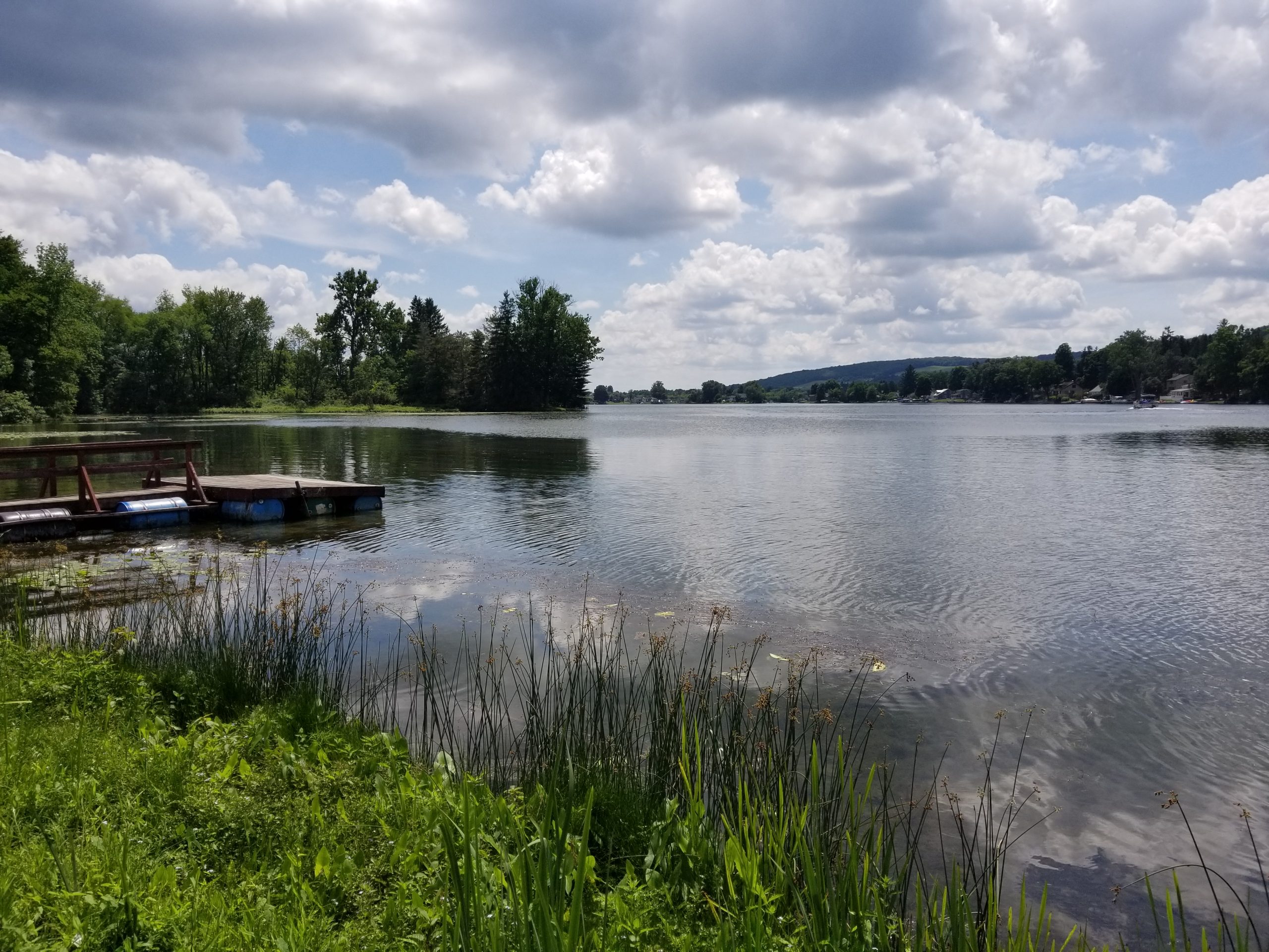 Little York Lake July 2020 NYSFOLA